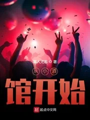 《从小酒馆开始》小说封面