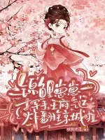 《锦鲤崽崽一挥手,王府气运炸翻全京城啦》小说封面