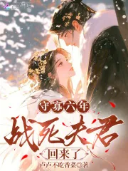 《守寡六年,战死夫君回来了》小说封面