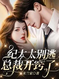 《纪太太别逃，总裁开窍了》小说封面