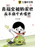 《真福宝被扔泥巴，反手扇个大嘴巴》小说封面