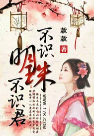 《不识明珠不识君》小说封面