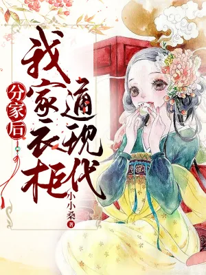 《分家后，我家衣柜通现代》小说封面