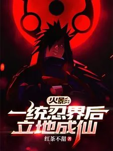 《火影：我能带人穿梭未来忍界》小说封面