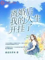 《离婚后我的人生开挂了》小说封面