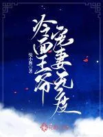 《冷面王爷宠妻无度》小说封面