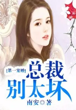 《第一宠婚：总裁别太坏》小说封面