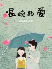《温婉的爱》小说封面