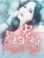《契约宠婚:叶总的意难平》小说封面
