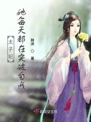 《太子妃她每天都在突破自我》小说封面