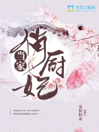 《当家俏厨妃》小说封面
