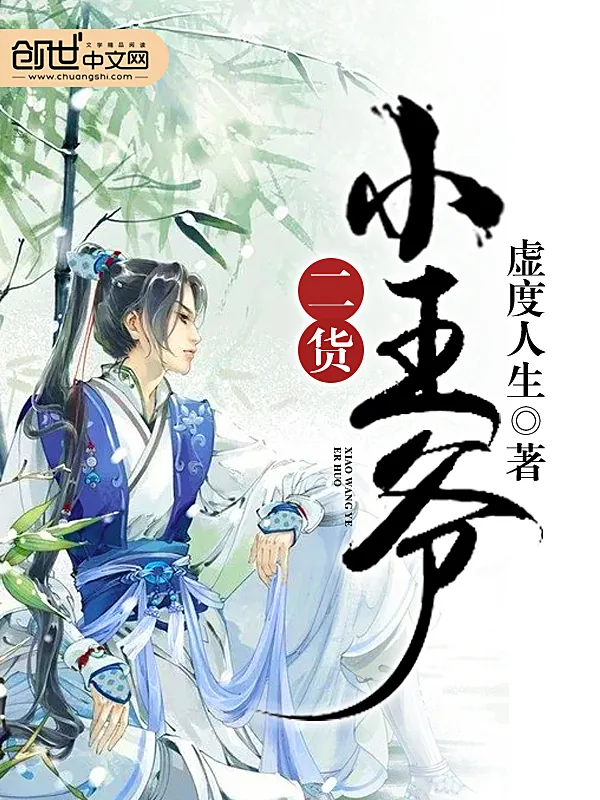 《二货小王爷》小说封面